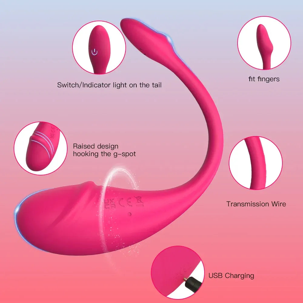 Bluetooth Wearable Egg Vibrator For Women