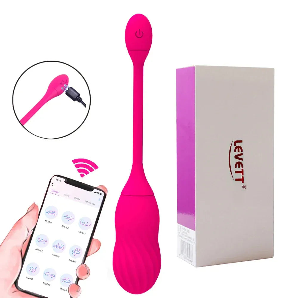 Electric Shock Kegel Ball Vibrator For Women